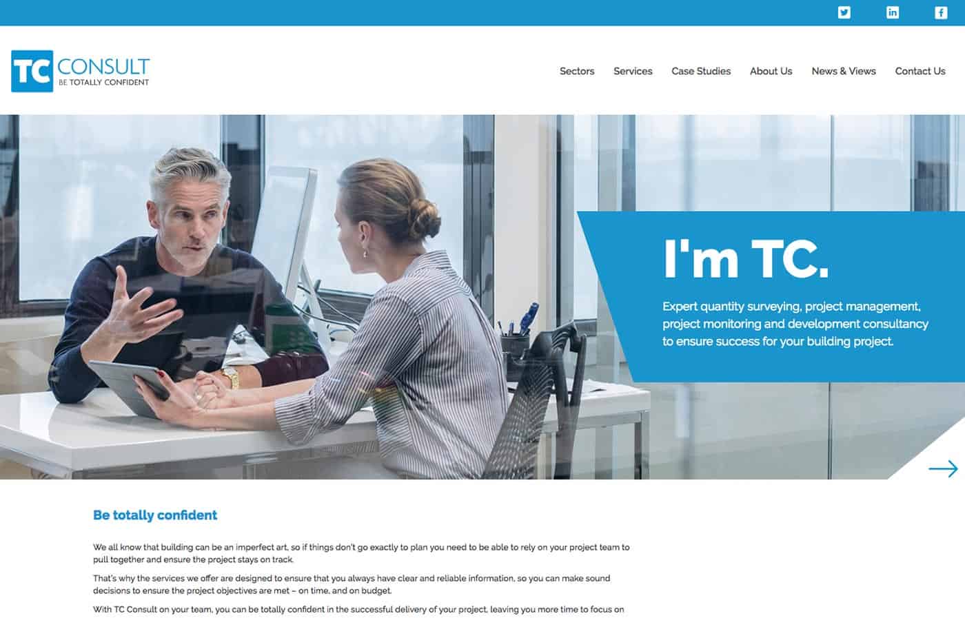 TC Consult Website on Desktop
