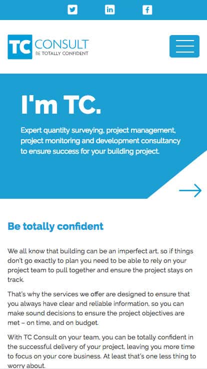 TC Consult Website on Mobile