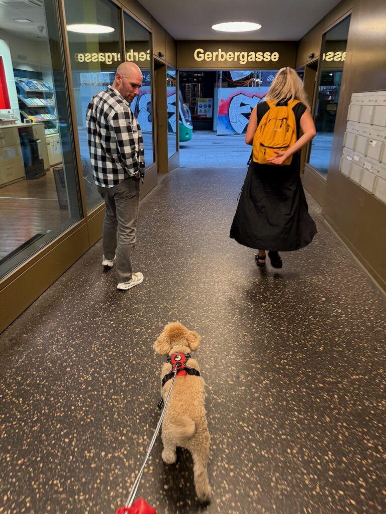 Scott Jones walking through Basel with his dog Archie and members of the WordPress community in June 2025